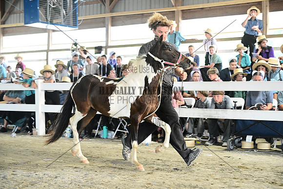 AJB_0347