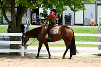128.Western Pleasure 13& Under