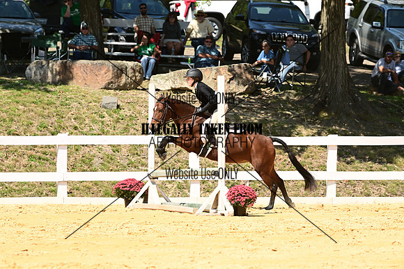 AJB_0767