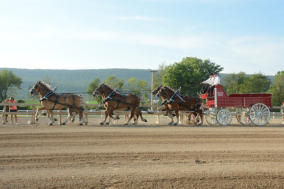 Six Horse Hitch-8