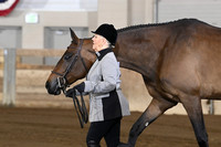 121 All Breed Hunter In Hand