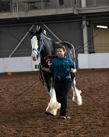 shires_5668