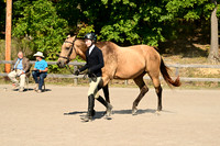 AJB_0381