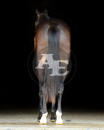 Indy_PSU2_4488