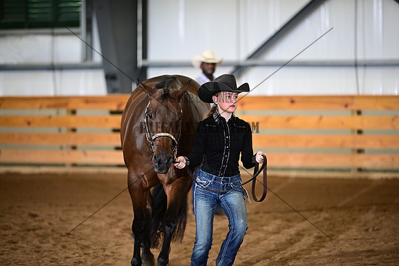 AJB_4654