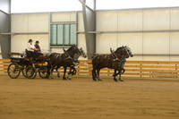 Four Horse Hitch-11