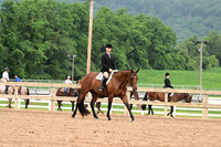 AJB_6781