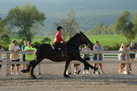 Open Riding (w/t/c)