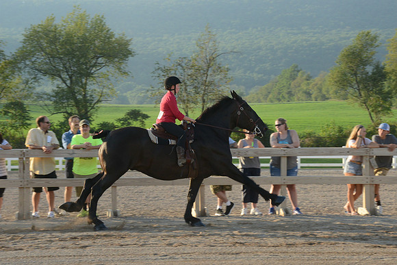 Open Riding_wtc-15