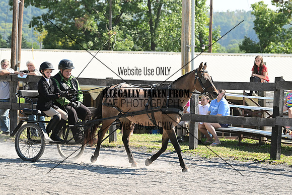 AJB_0537