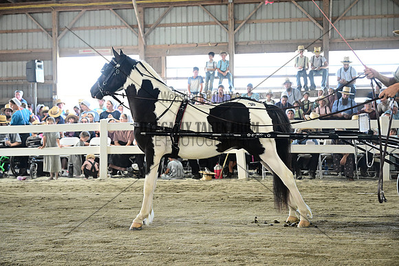 AJB_0336