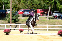 AJB_2207