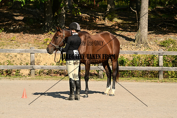 AJB_0375