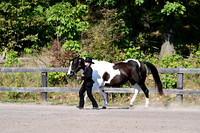 AJB_2096
