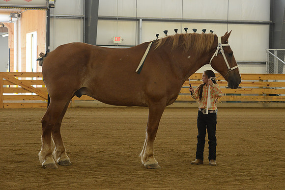 Jr. Youth Showmanship-27