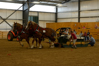 Farm Team-4