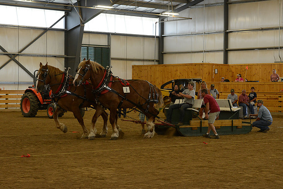 Farm Team-4