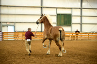 AJB_5985