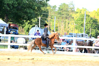 AJB_1647