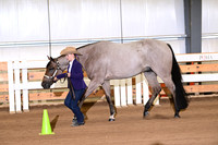 AJB_3581