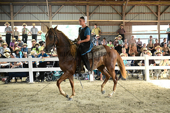 AJB_0592