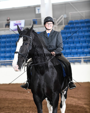 shires_6354