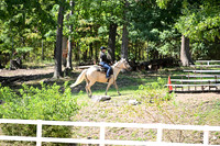 AJB_2462