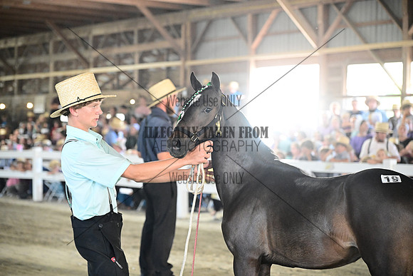 AJB_0192