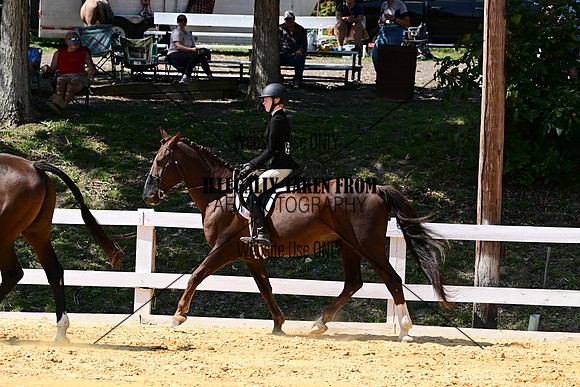 AJB_0887