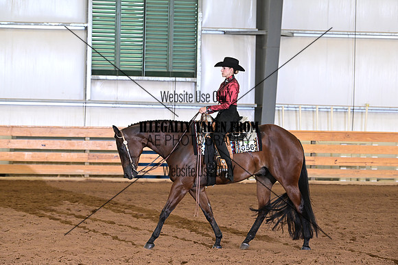AJB_5543