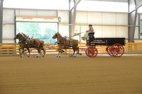 Four Horse Hitch-1
