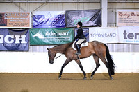 72 All BReed WT Hunter Under Saddle