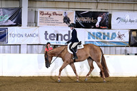 81 Level 1 Youth Hunter Under Saddle