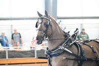 AJB_8362
