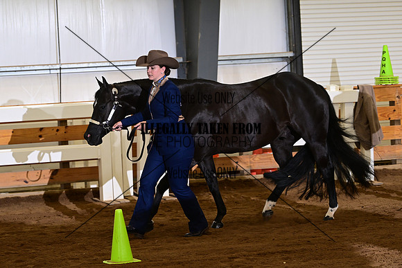 AJB_3531