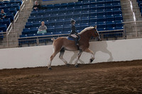 KILE_10052024_SCL6339