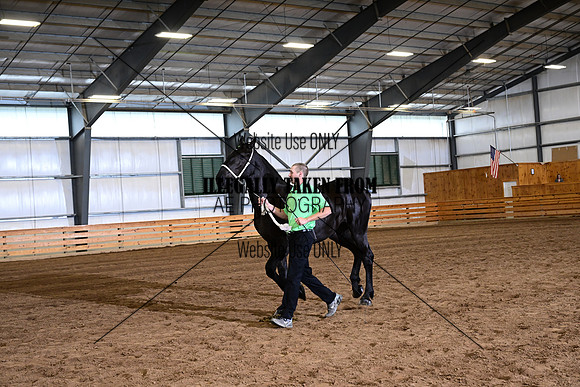 AJB_4267