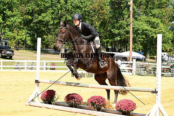 AJB_0659