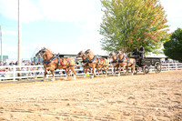 AJB_0542