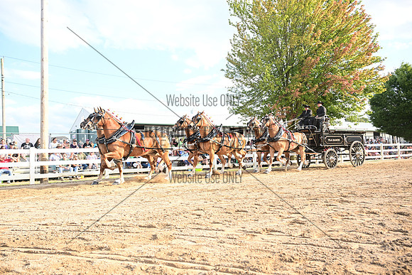 AJB_0542