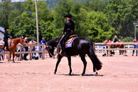 D71_0831