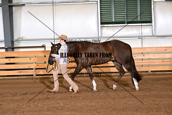 ASH_2697
