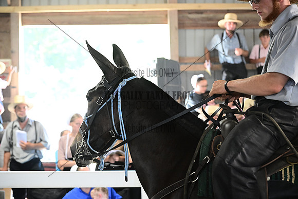 AJB_0196