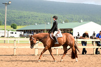 AJB_6553