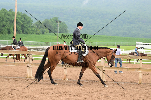 AJB_6220
