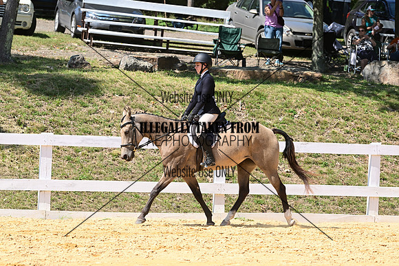 AJB_0894