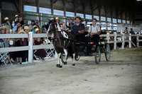AJB_0909