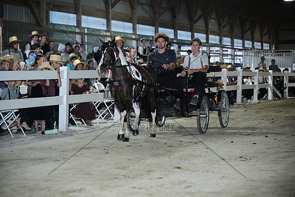 AJB_0909