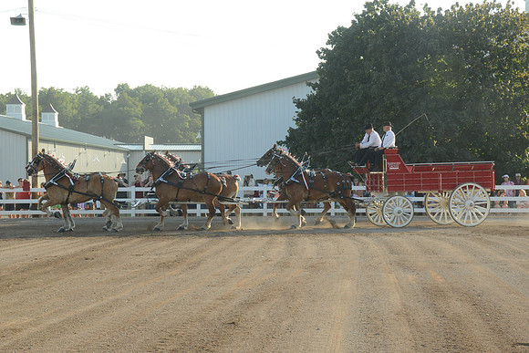 Six Horse Hitch-4
