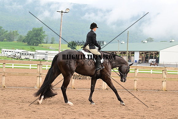 AJB_6217